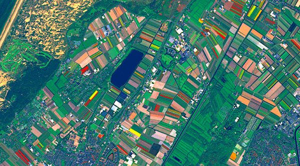 Featured image for Agriculture